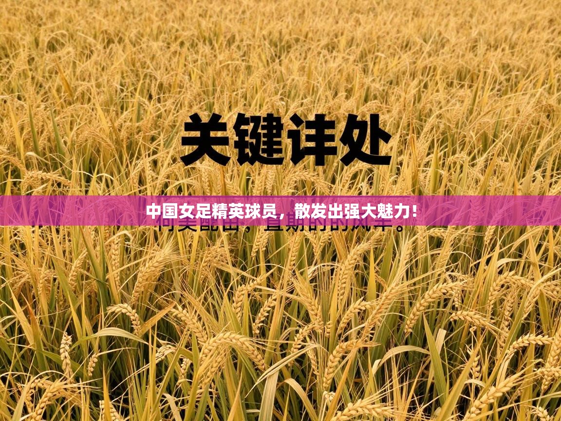 中国女足精英球员，散发出强大魅力！  第1张