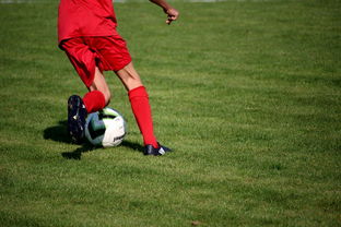 澳亚国际平台官网-曼联主帅战术布置细致，力争半决赛全胜